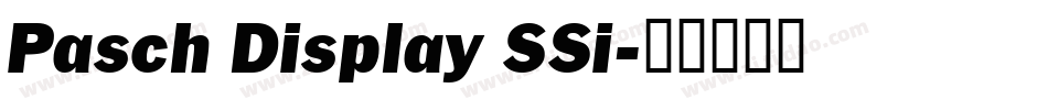 Pasch Display SSi字体转换